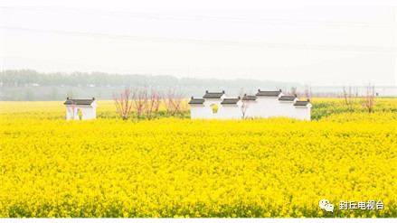 封丘：鄉(xiāng)趣花海野餐季，不負春風不負卿！